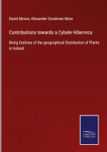 Contributions towards a Cybele Hibernica