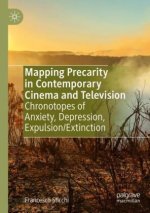 Mapping Precarity in Contemporary Cinema and Television