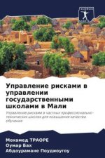 Uprawlenie riskami w uprawlenii gosudarstwennymi shkolami w Mali