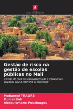 Gest?o de risco na gest?o de escolas públicas no Mali
