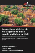 La gestione del rischio nella gestione della scuola pubblica in Mali