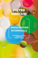 immaginazione intermediale. Perlustrare, rifigurare, testimoniare il mondo visibile