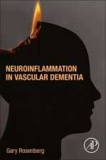 Neuroinflammation in Vascular Dementia