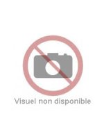 UNE AUTRE HISTOIRE D'HOMMES PRÉHISTORIQUES T2