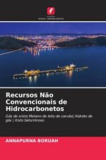 Recursos N?o Convencionais de Hidrocarbonetos