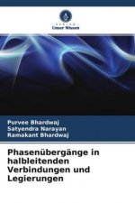 Phasenübergänge in halbleitenden Verbindungen und Legierungen