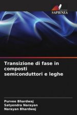 Transizione di fase in composti semiconduttori e leghe