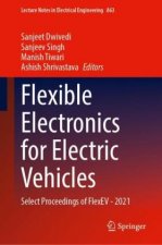 Flexible Electronics for Electric Vehicles