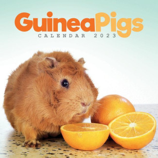 Guinea Pigs Mini Square Wall Calendar 2023