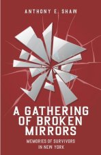 Gathering of Broken Mirrors