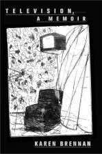 Television, a Memoir