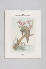 Tirage BnF - Paon