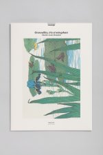 Tirage BnF - Grenouilles, iris et nénuphars