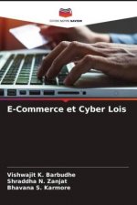 E-Commerce et Cyber Lois