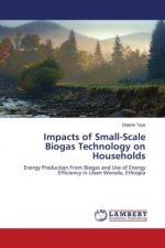Impacts of Small-Scale Biogas Technology on Households