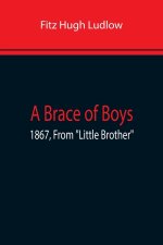 Brace Of Boys; 1867, From Little Brother