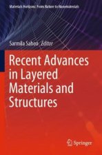 Recent Advances in Layered Materials and Structures