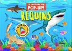 LA NATURE EN POP-UP - REQUINS