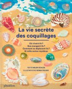 LA VIE SECRÈTE DES COQUILLAGES