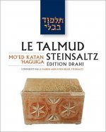 Le Talmud Steinsaltz T13 - Moed Katan / Haguiga