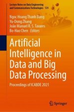 Artificial Intelligence in Data and Big Data Processing