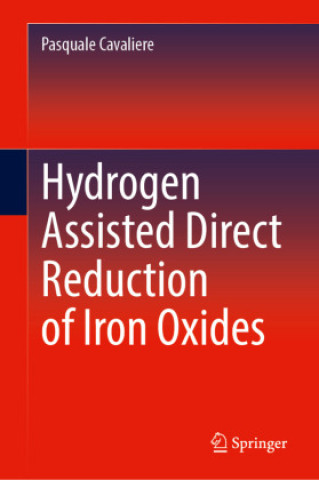 Hydrogen Assisted Direct Reduction of Iron Oxides (Pasquale Cavaliere)()