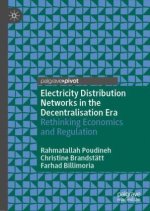 Electricity Distribution Networks in the Decentralisation Era
