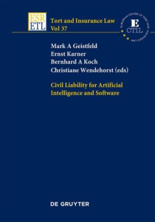 Civil Liability for Artificial Intelligence and Software