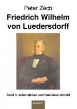 Friedrich Wilhelm von Luedersdorff Band 3: Arbeitsleben und familiäres Umfeld