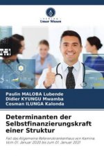 Determinanten der Selbstfinanzierungskraft einer Struktur