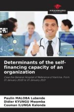 Determinants of the self-financing capacity of an organization