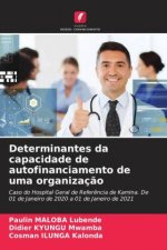 Determinantes da capacidade de autofinanciamento de uma organização