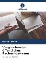 Vergleichendes öffentliches Rechnungswesen