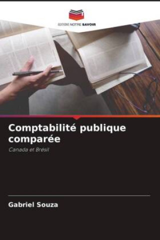 Comptabilité publique comparée