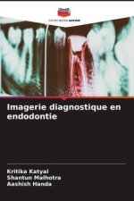 Imagerie diagnostique en endodontie