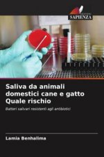 Saliva da animali domestici cane e gatto Quale rischio