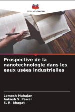 Prospective de la nanotechnologie dans les eaux usées industrielles
