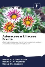 Asteraceae i Liliaceae Egipta