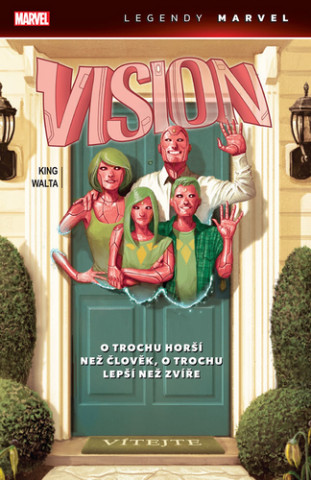 Vision