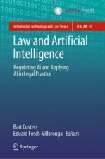 Law and Artificial Intelligence