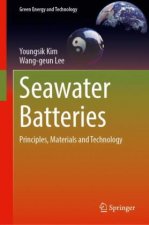 Seawater Batteries