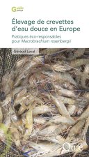 Élevage de crevettes d'eau douce en Europe