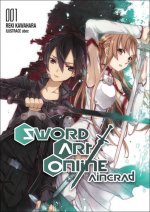 Sword Art Online Aincrad