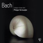Johann Sebastian Bach: Philippe Herreweghe - Bach (PHI-Recordings)