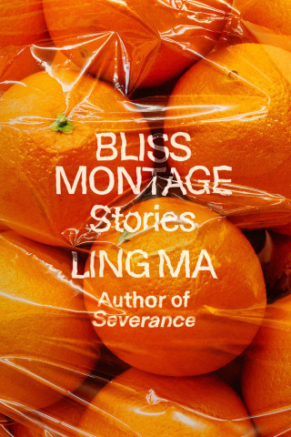 Bliss Montage: Stories ()