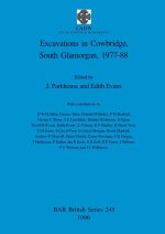 Excavations in Cowbridge, South Glamorgan, 1977-1988