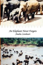Elephant Never Forgets