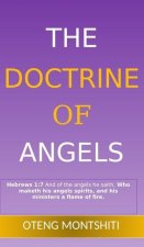 doctrine of angels