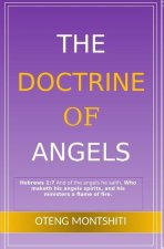 doctrine of angels