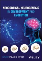 Neocortical Neurogenesis in Development and Evolution